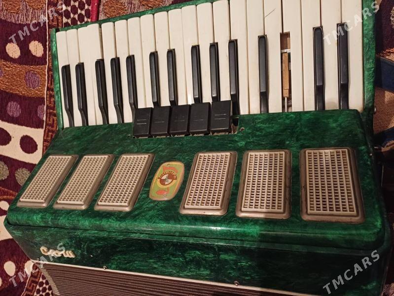 Akardion - Mary - img 4