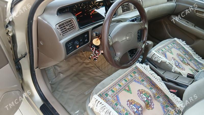 Toyota Camry 2000 - 160 000 TMT - Kaka - img 7