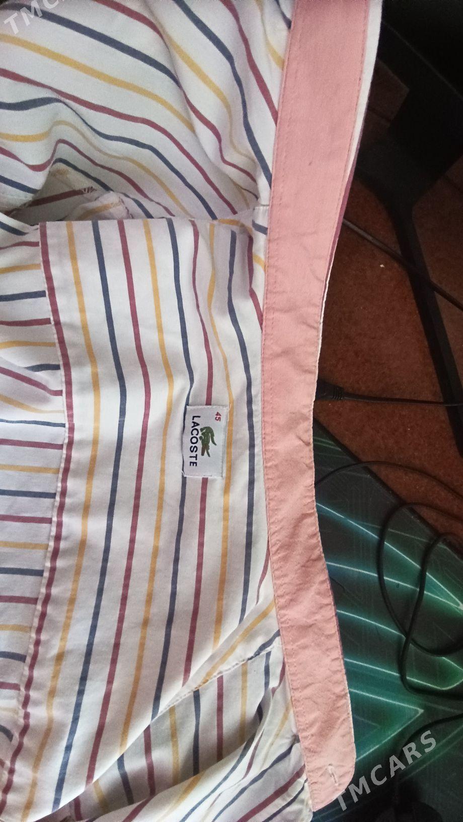 рубашка М размер Lacoste - Ашхабад - img 3