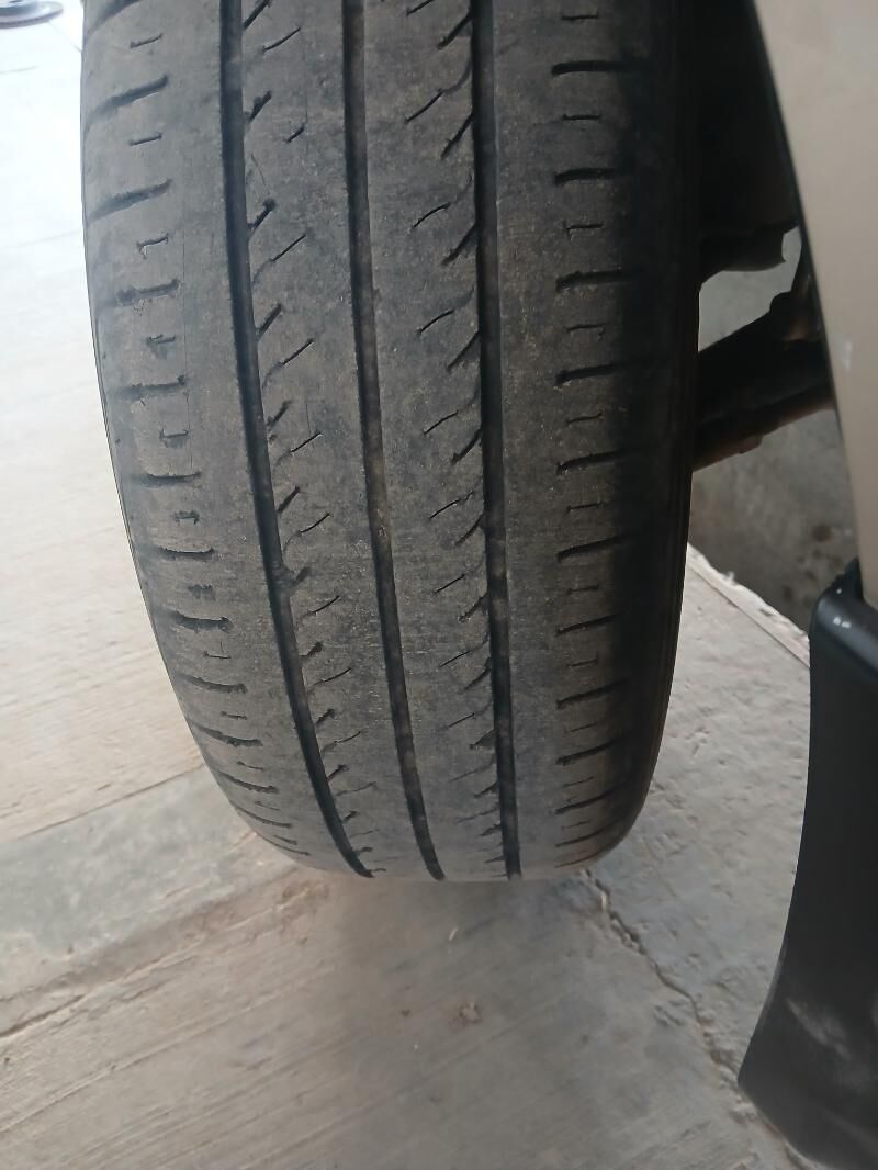 RADIAL RP28 800 TMT - Şabat etr. - img 3