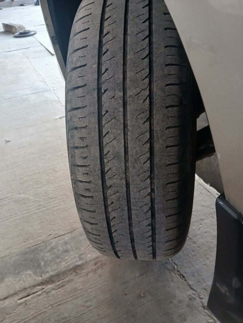 RADIAL RP28 800 TMT - Şabat etr. - img 4