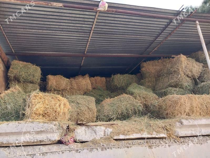 Yorunja bede - Кипджак - img 1