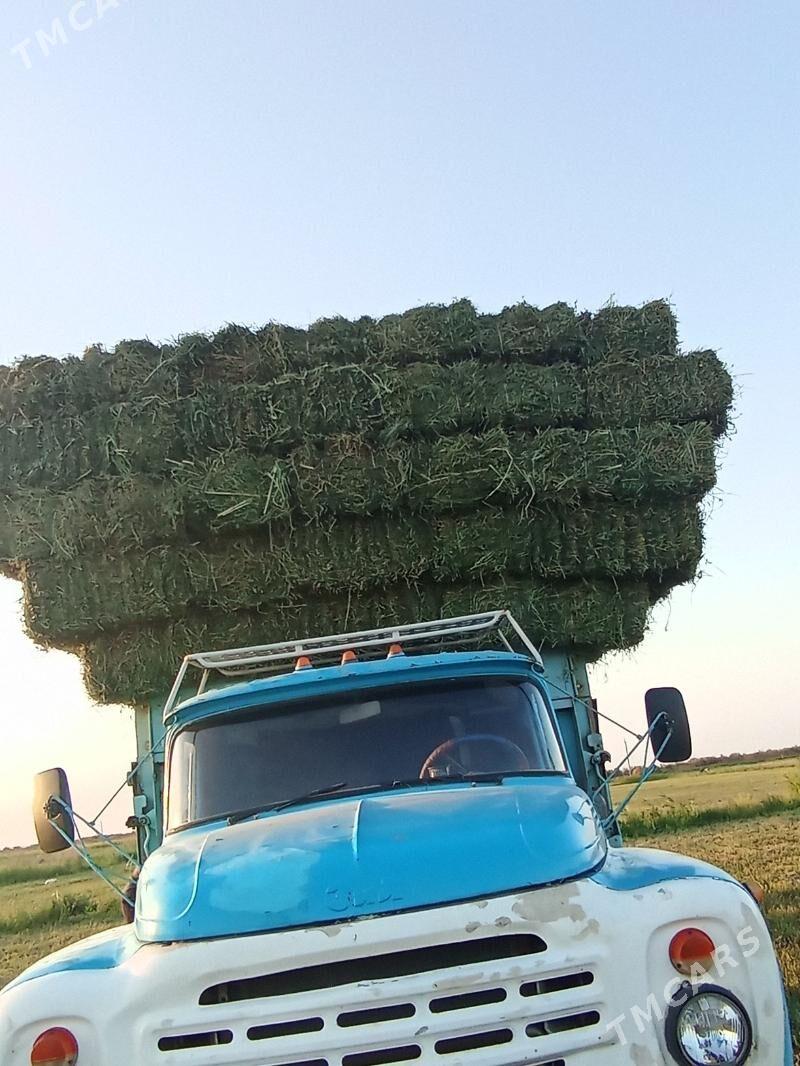 Yorunjo bede - Ак-Бугдайский этрап - img 2