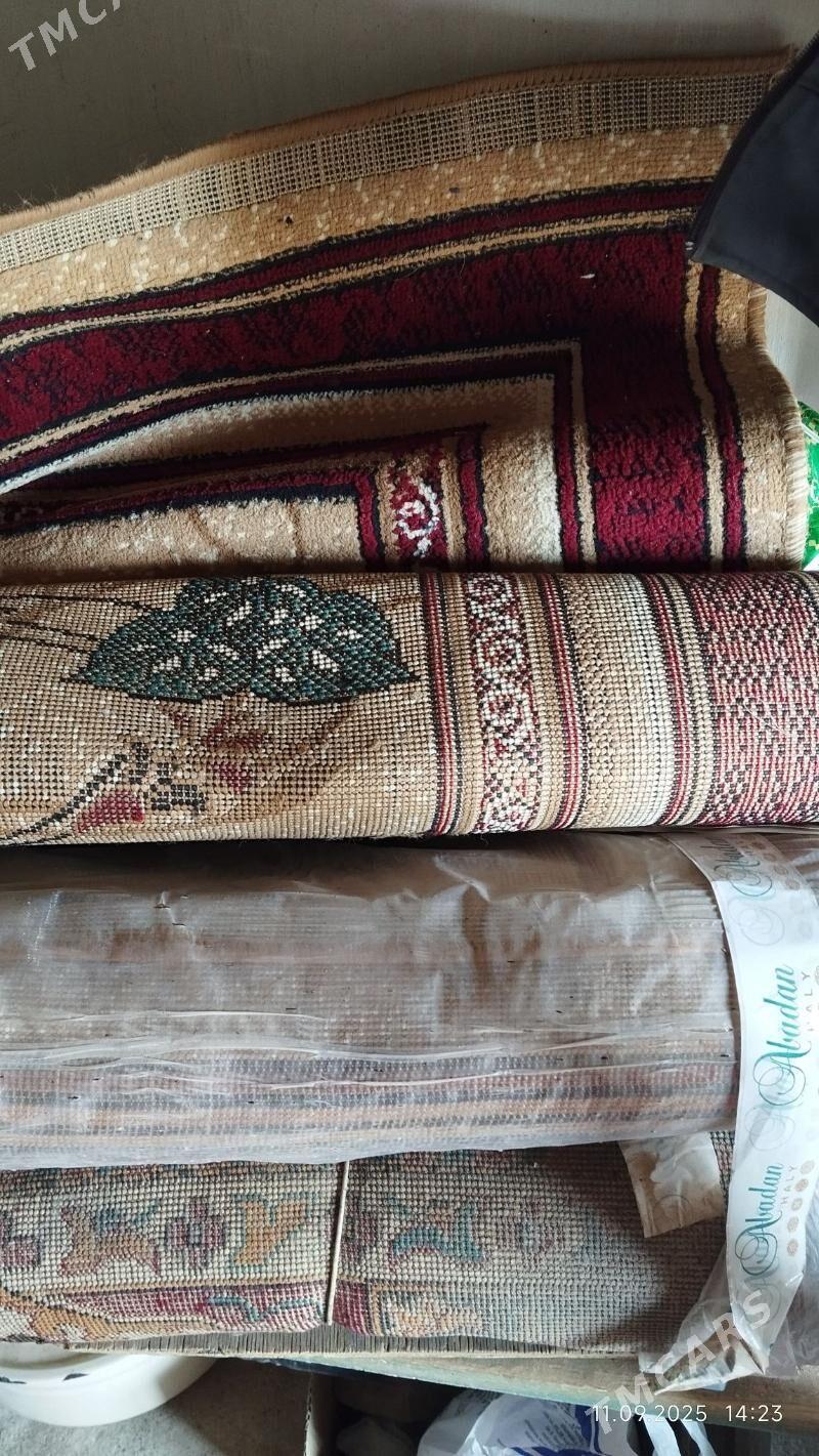 haly - Gyzylarbat - img 2