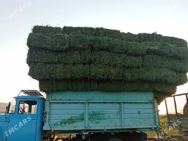 Yorunjo bede - Ак-Бугдайский этрап - img 3