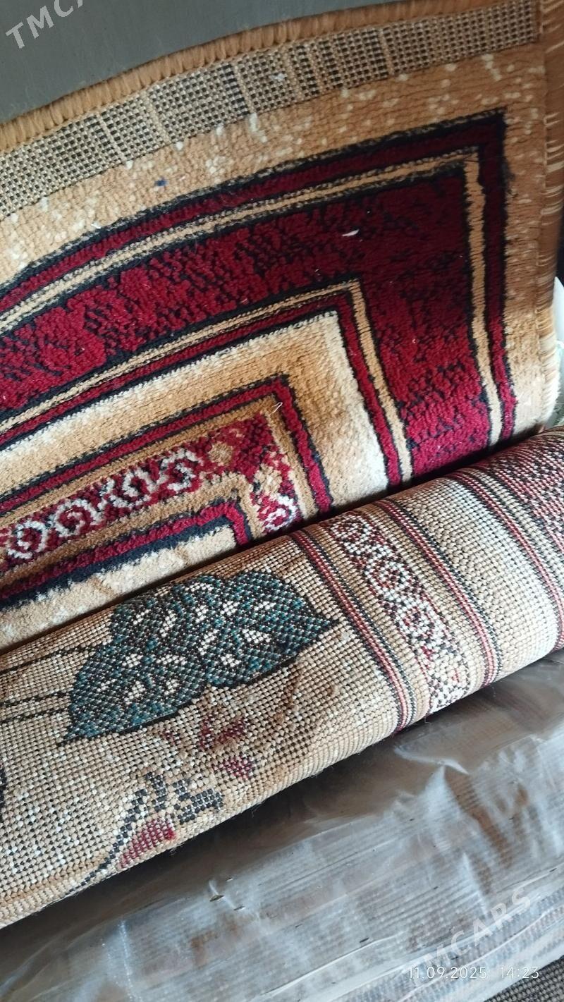 haly - Gyzylarbat - img 1