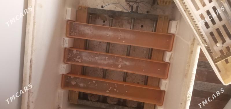 inkubator - Мары - img 3