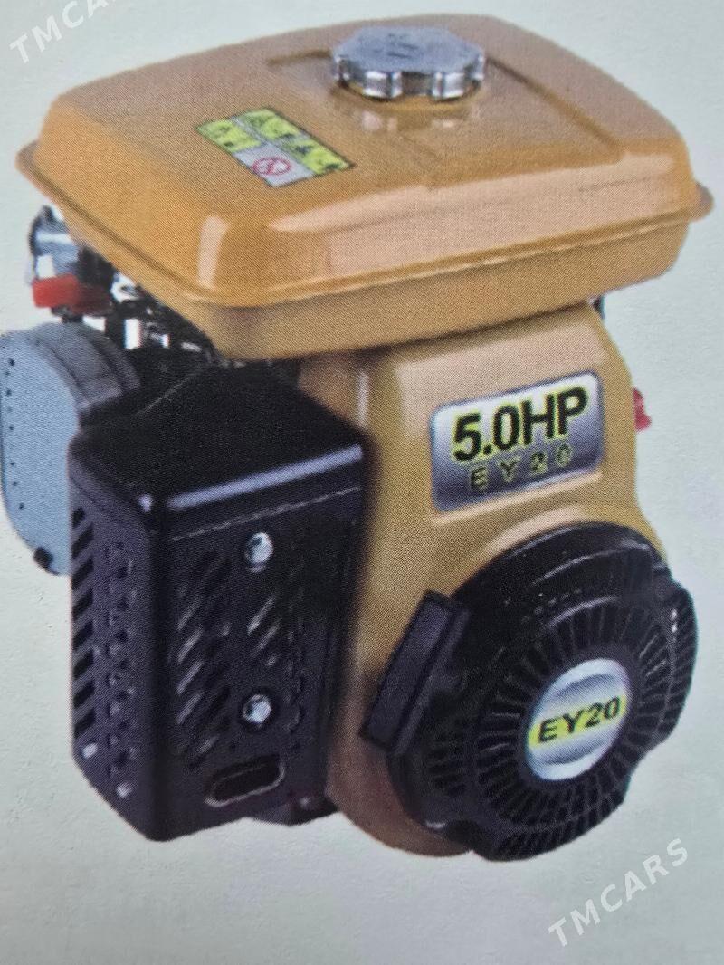 Sunday - Мары - img 7