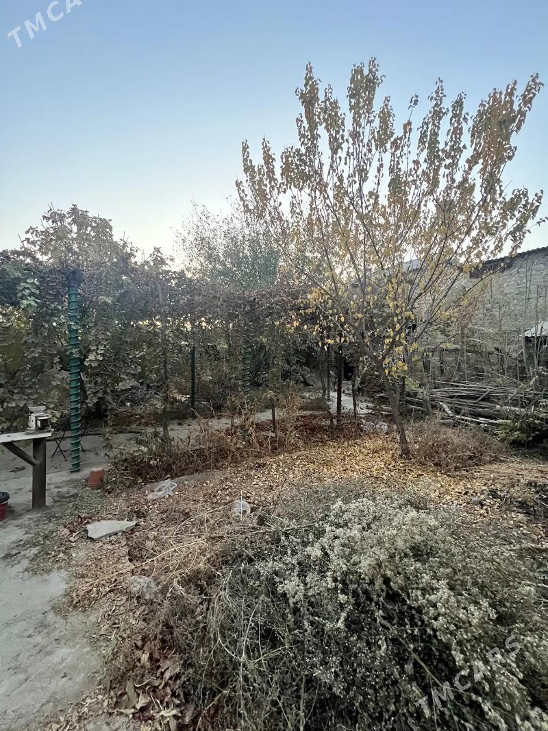 ХИТРОВКА, УЛ.МИЧУРИНА - Хитровка - img 3