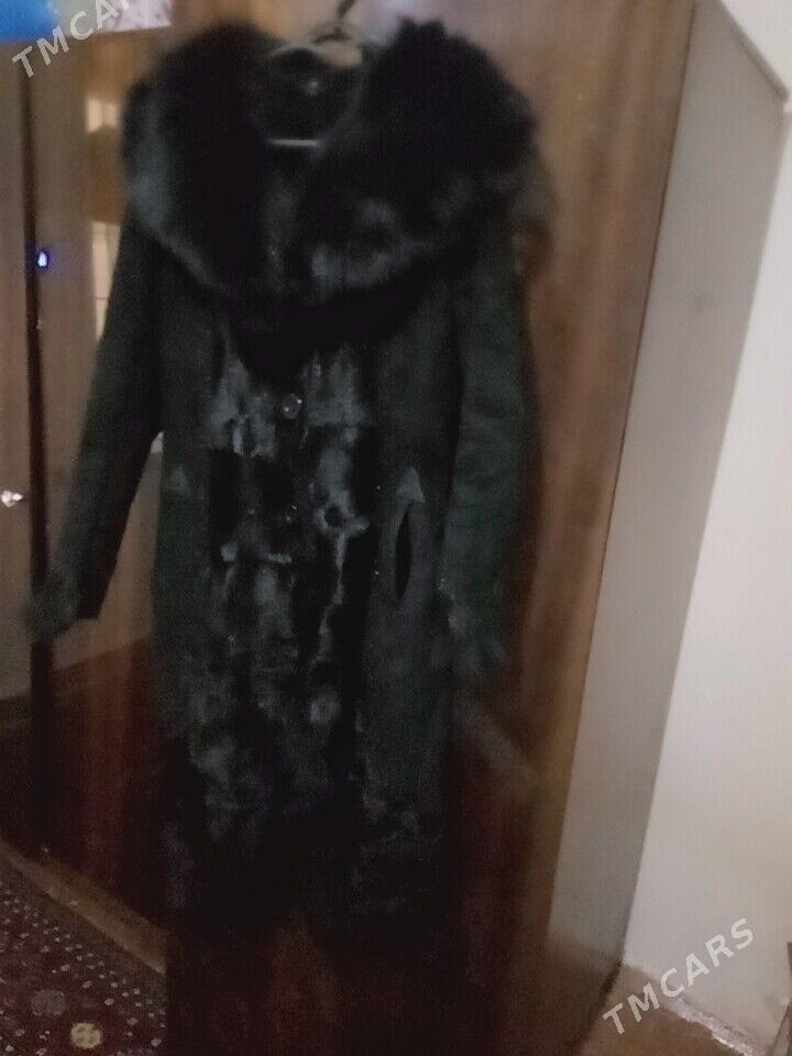 palto - Türkmenabat - img 3