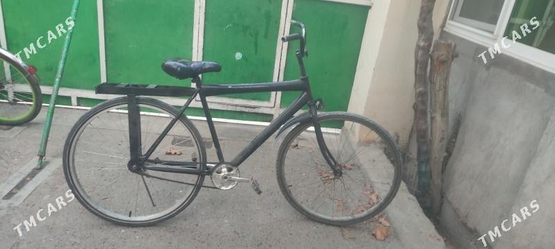 tigir gyssagly ural welik uly - Bedew - img 2