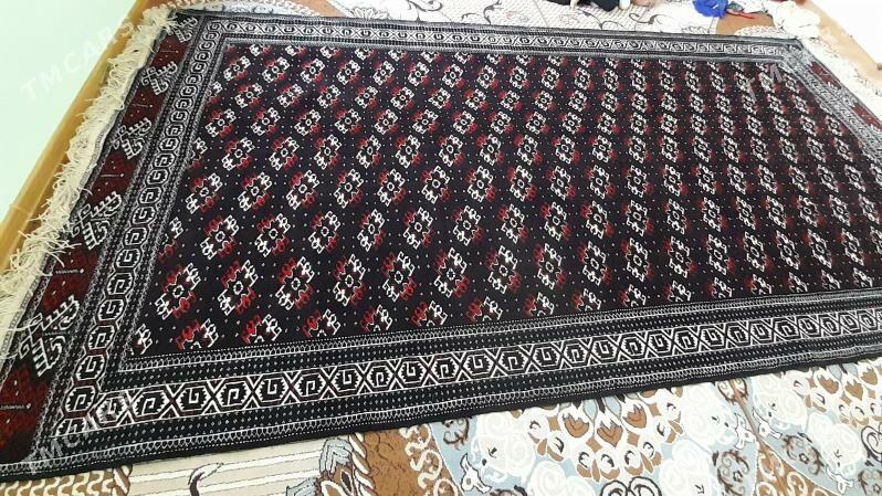 Haly Gunça - Balkanabat - img 1