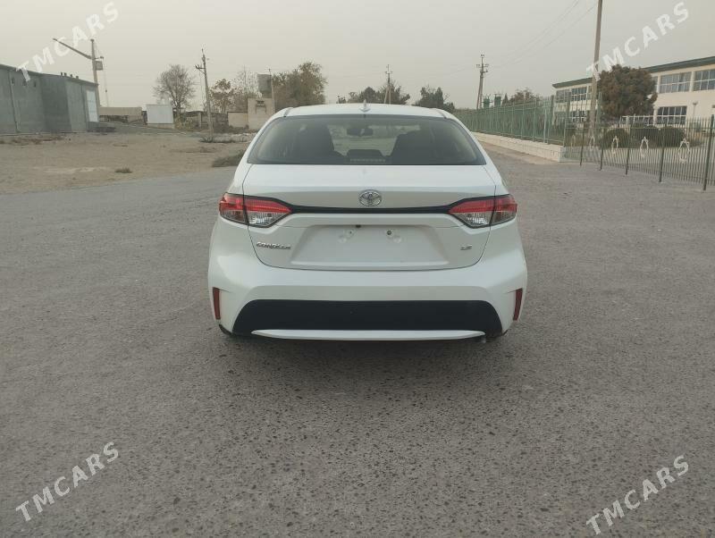 Toyota Corolla 2021 - 250 000 TMT - Halaç - img 3