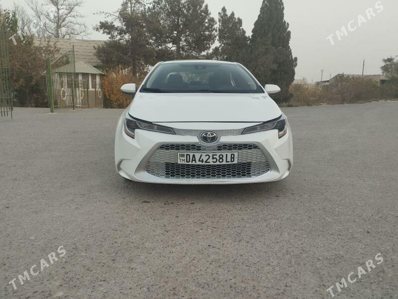 Toyota Corolla 2021 - 250 000 TMT - Halaç - img 2