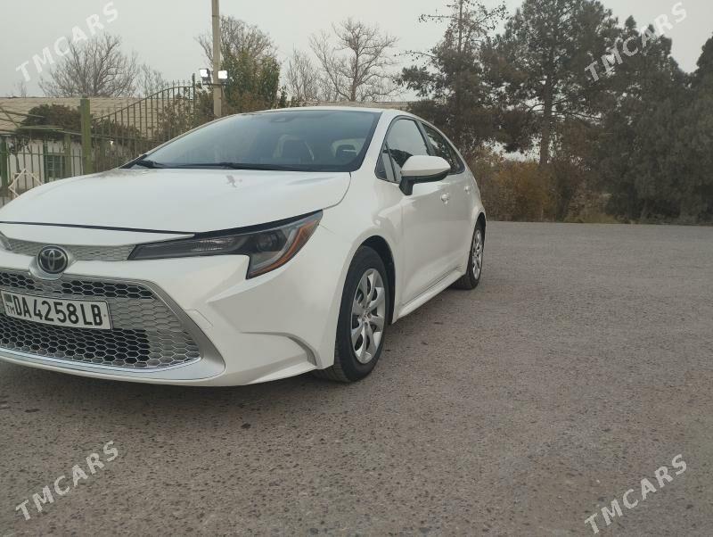 Toyota Corolla 2021 - 250 000 TMT - Halaç - img 6