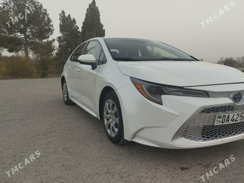 Toyota Corolla 2021 - 250 000 TMT - Halaç - img 5