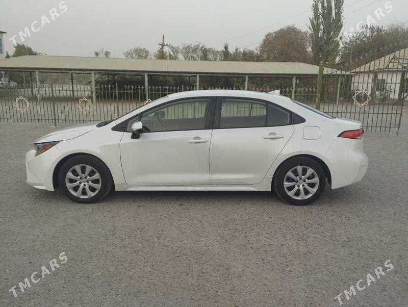 Toyota Corolla 2021 - 250 000 TMT - Halaç - img 4