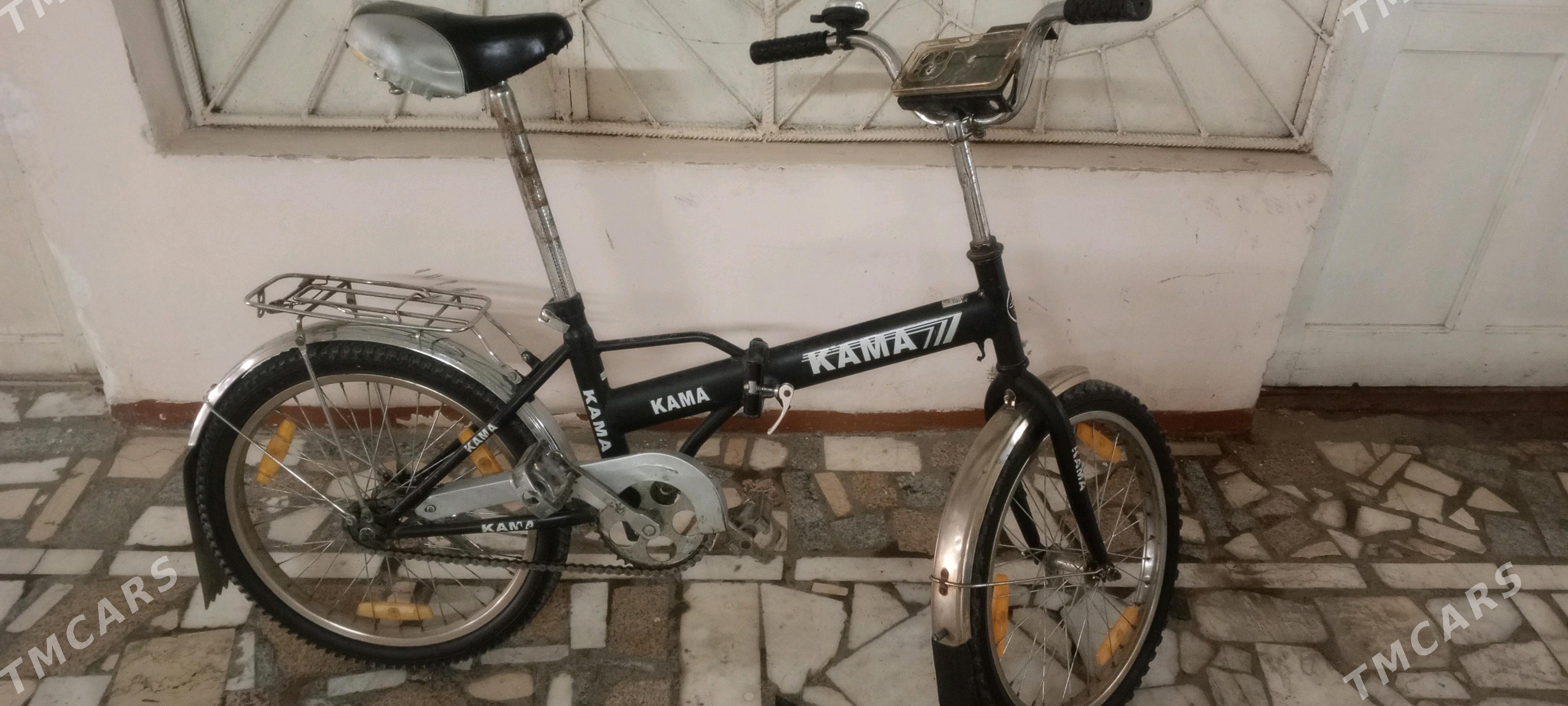 kama tigir - Бедев - img 3