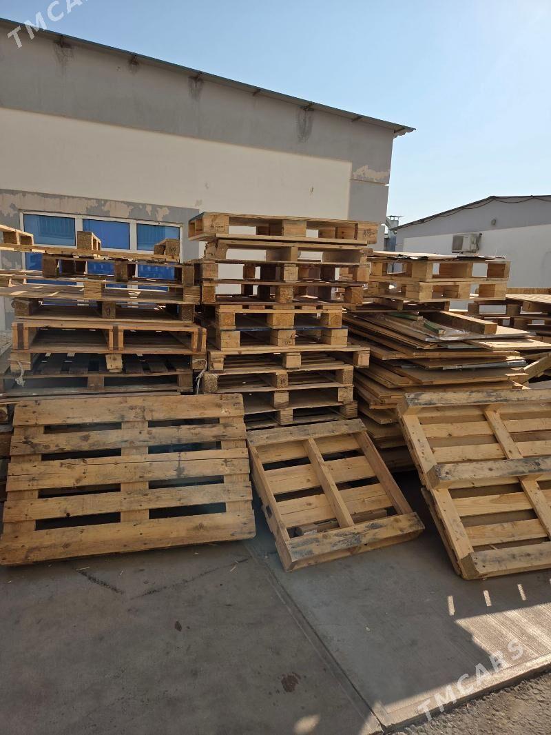 paddon agaç - Ашхабад - img 2