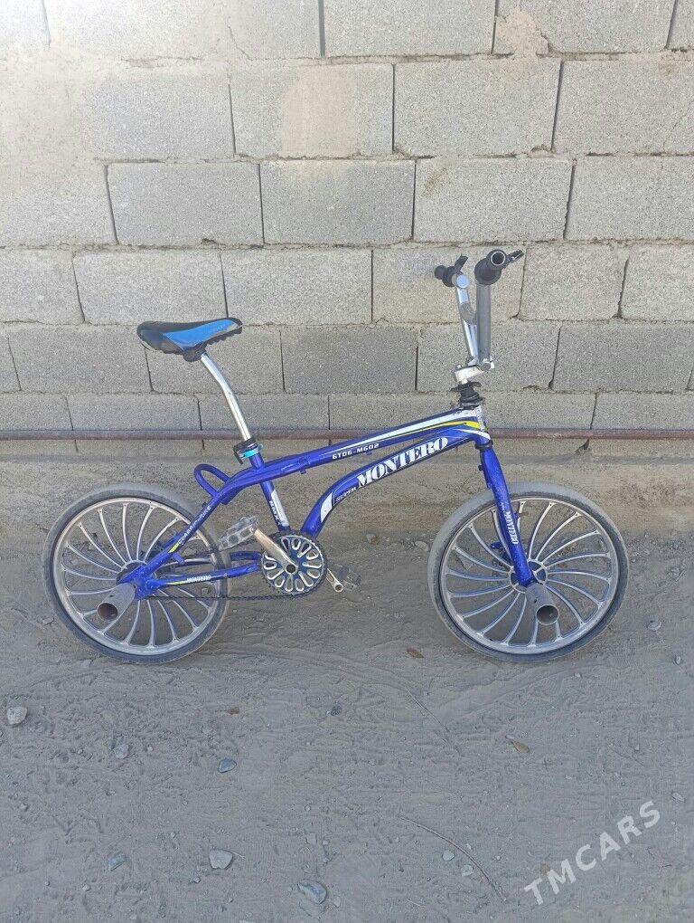 duga tigr - Бахарден - img 1