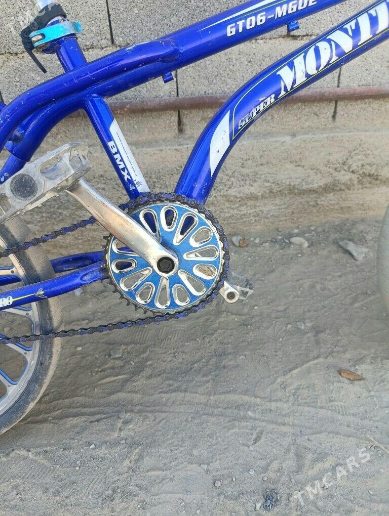 duga tigr - Бахарден - img 2