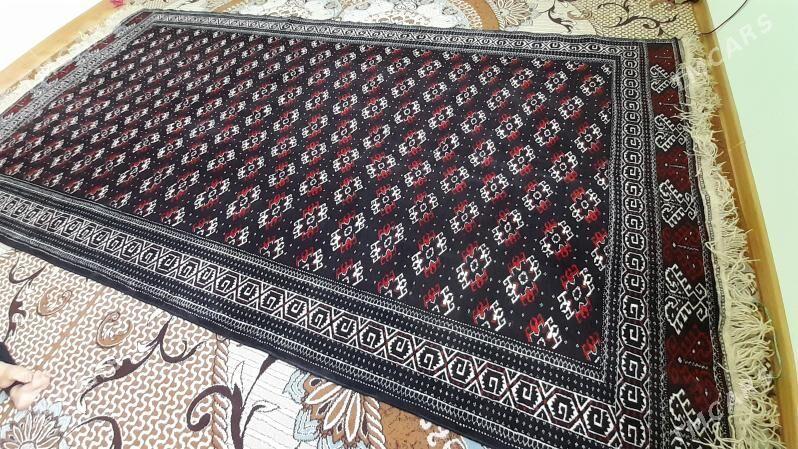 Haly Gunça - Balkanabat - img 3