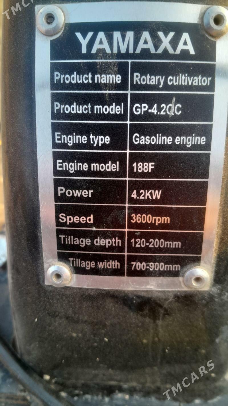 Ýer surýan tyrahtyr - Шабатский этрап - img 3