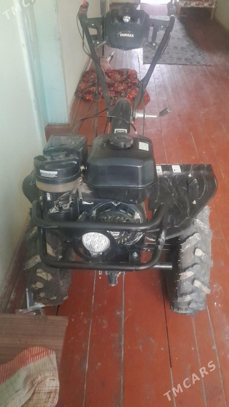 Ýer surýan tyrahtyr - Шабатский этрап - img 1