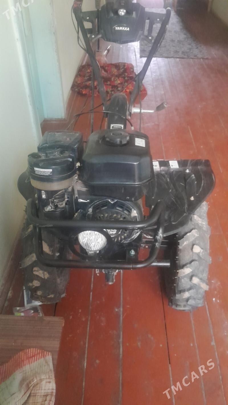 Ýer surýan tyrahtyr - Шабатский этрап - img 2