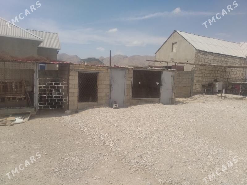 Жай Дузмерген - Балканабат - img 3