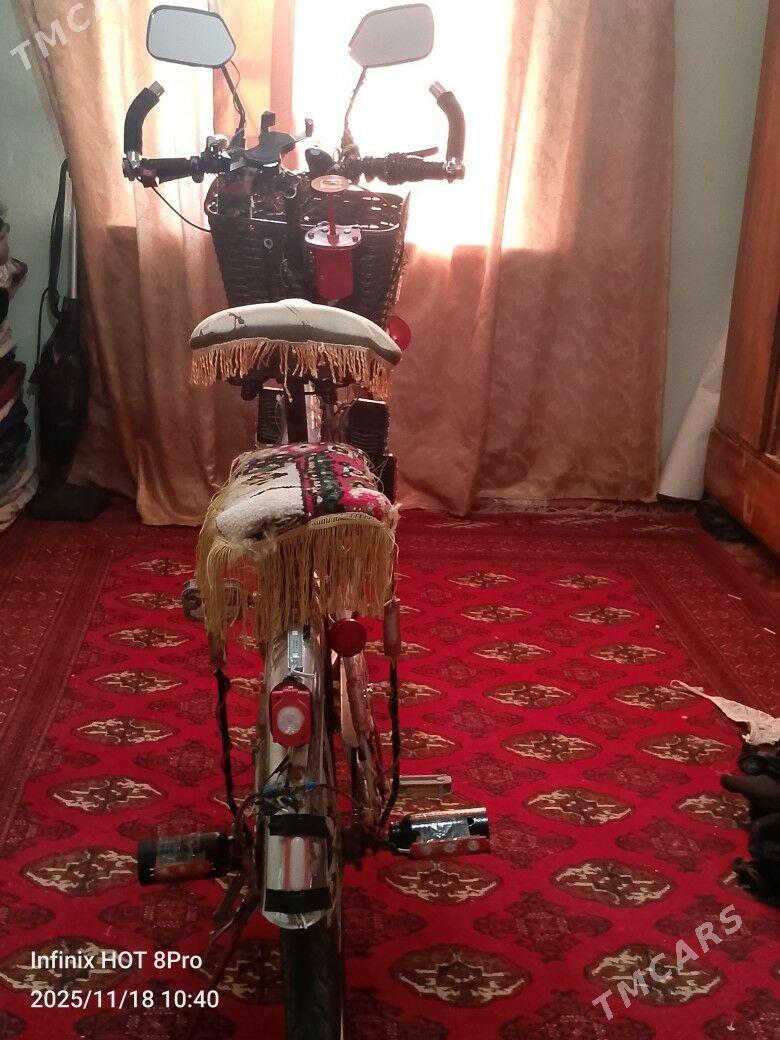 27 lik welsopet - Mary - img 2