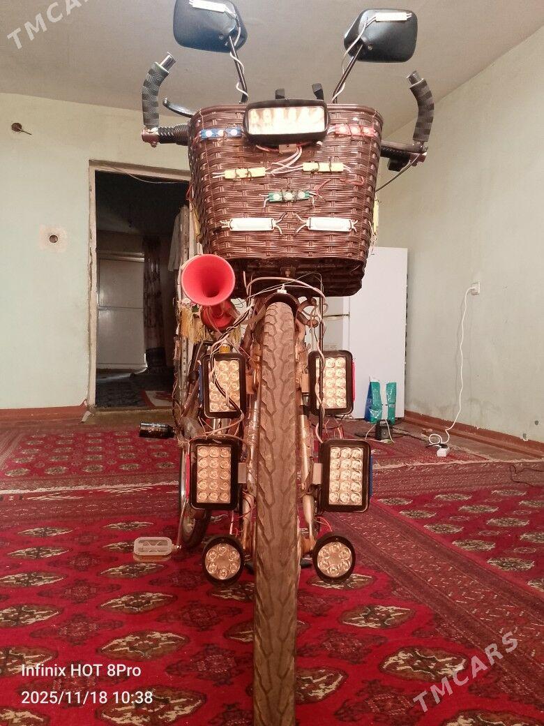 27 lik welsopet - Mary - img 3