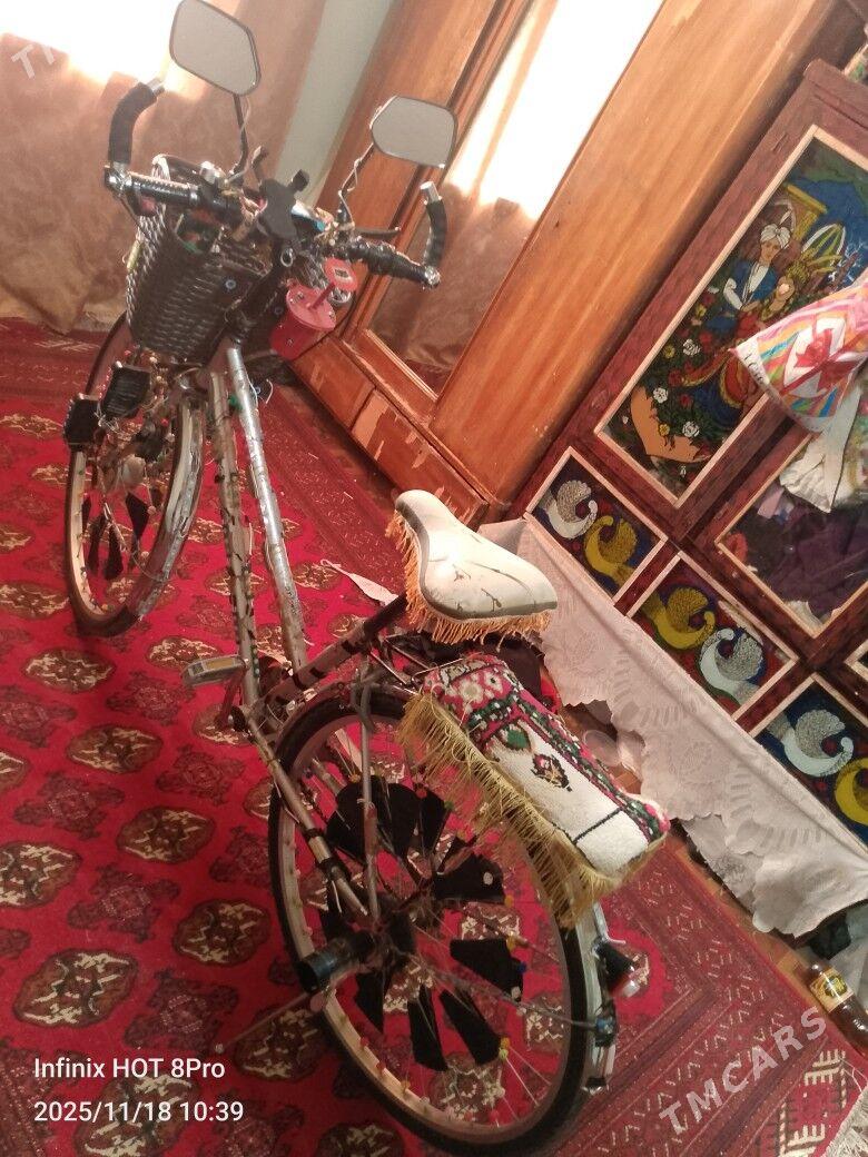 27 lik welsopet - Mary - img 1