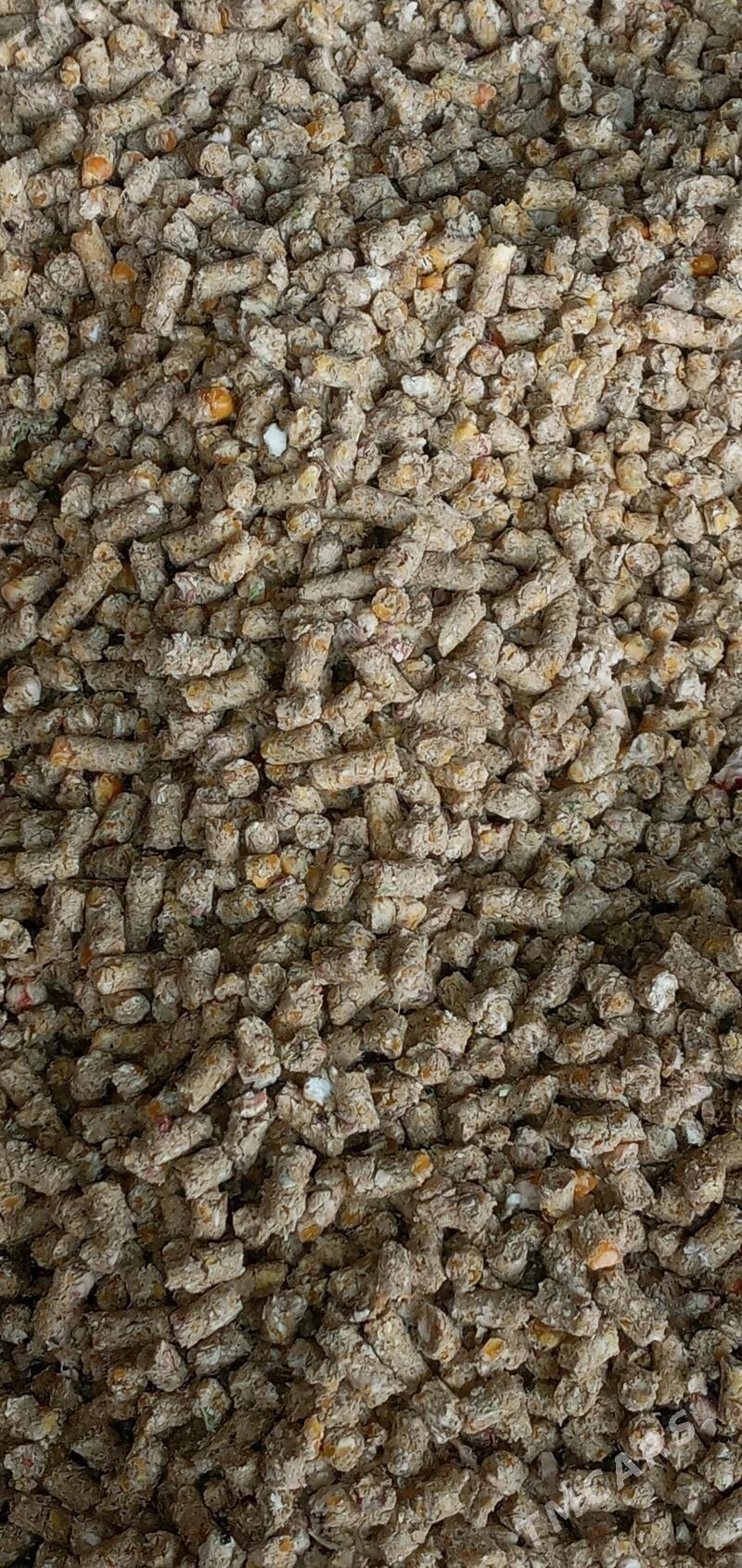 iým öküze.towuga goýuna - Bäherden - img 3