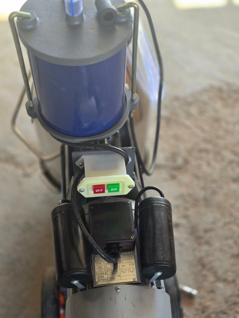 Sunday - Мары - img 1