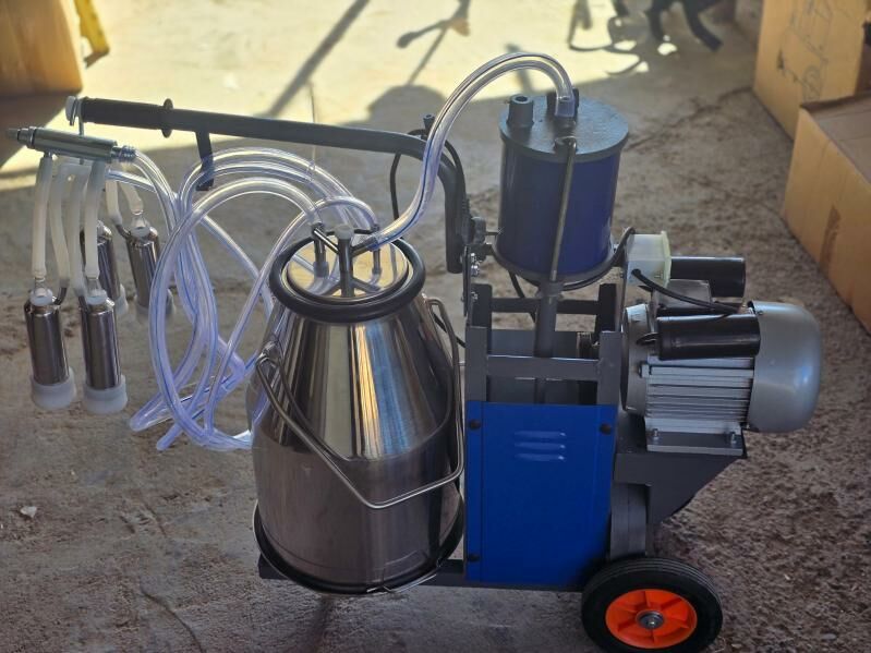 Sunday - Мары - img 4