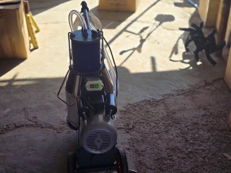 Sunday - Мары - img 2