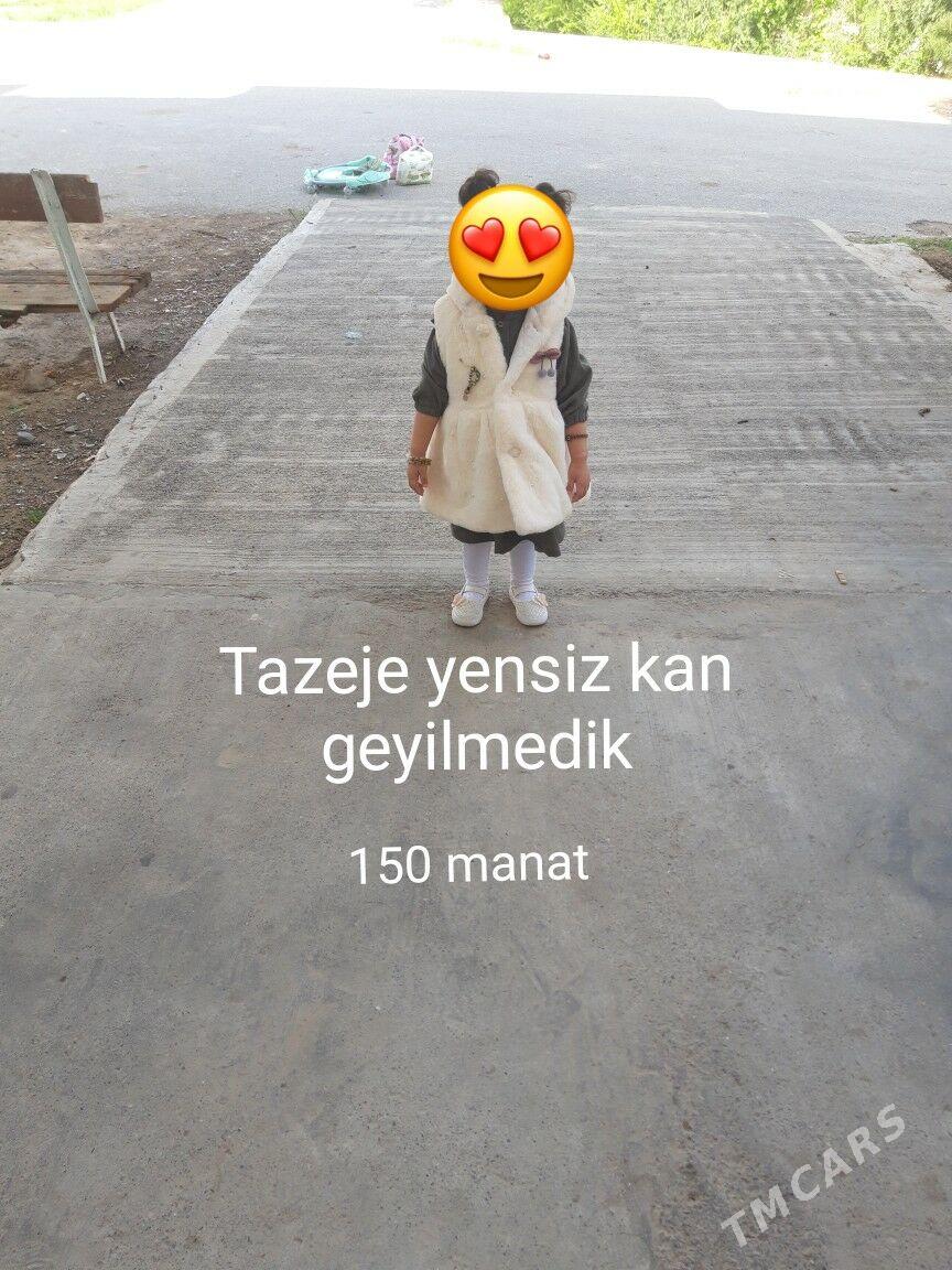 Caga esikleri - Büzmeýin GRES - img 2