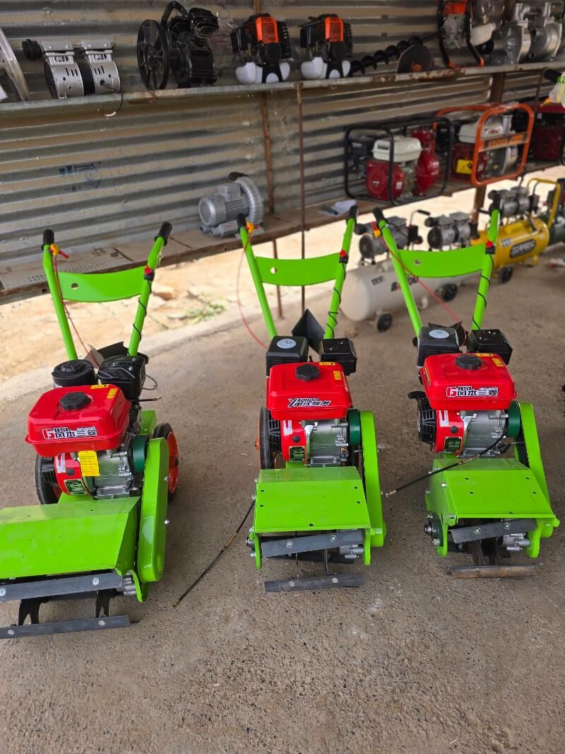 Sunday - Мары - img 5