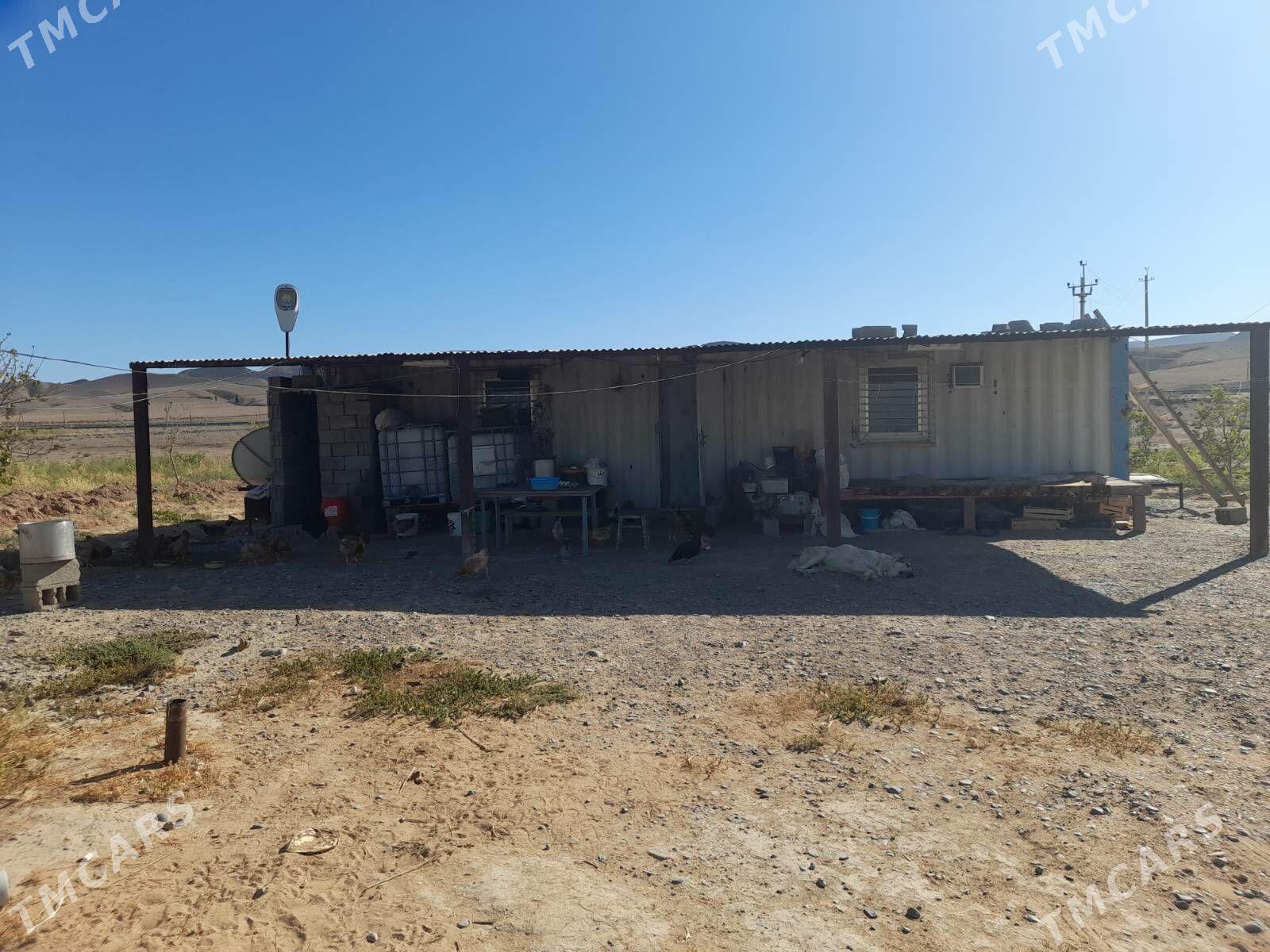 wagon - Ак-Бугдайский этрап - img 2