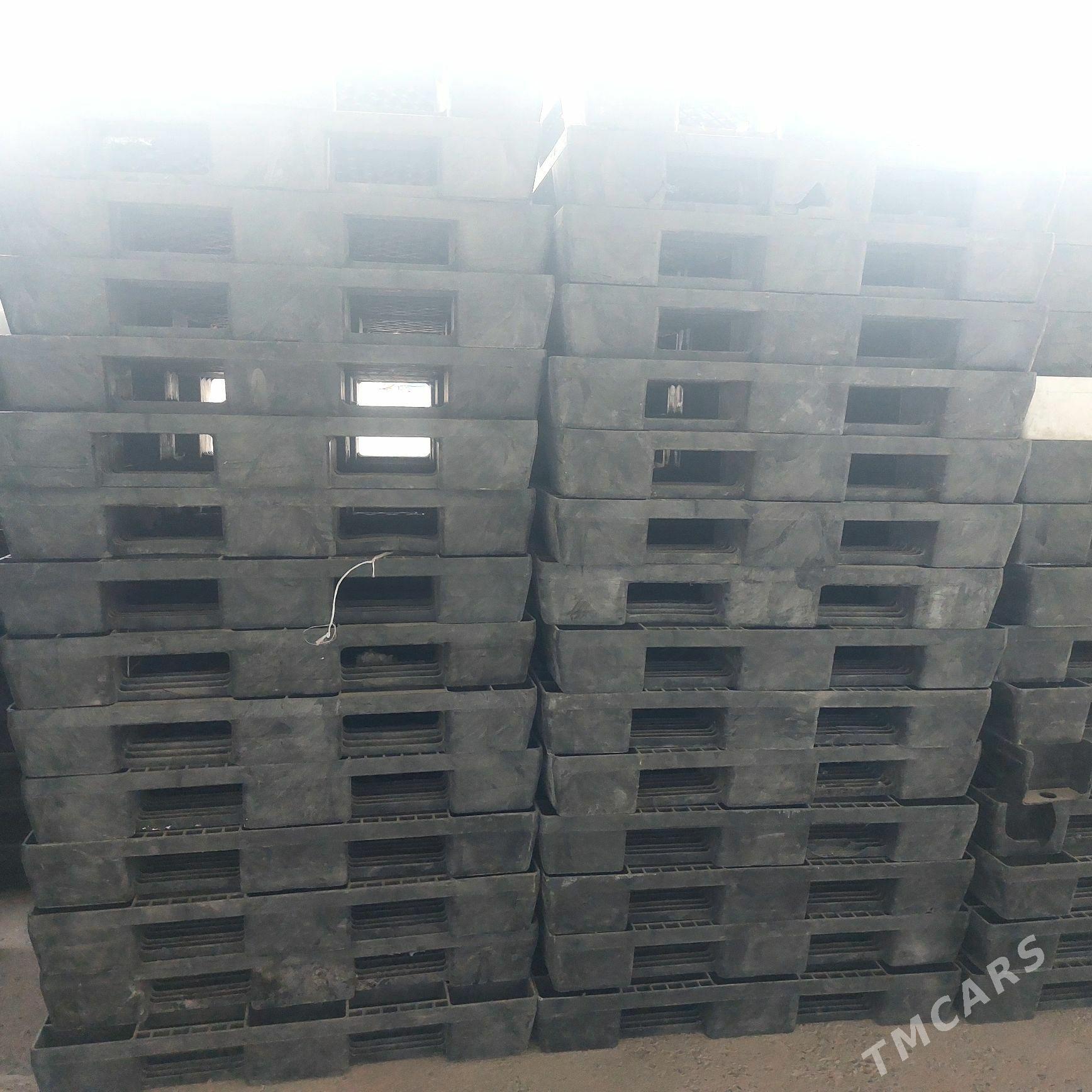 plasmas paddon - Bedew - img 1