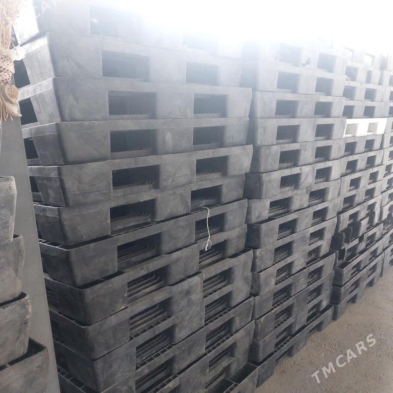 plasmas paddon - Bedew - img 2