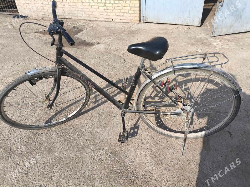 welsiped - Мургап - img 1