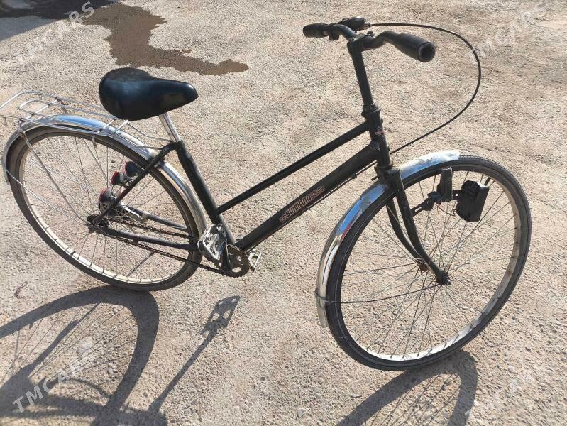 welsiped - Мургап - img 2