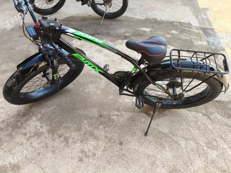 welsiped - Мургап - img 3