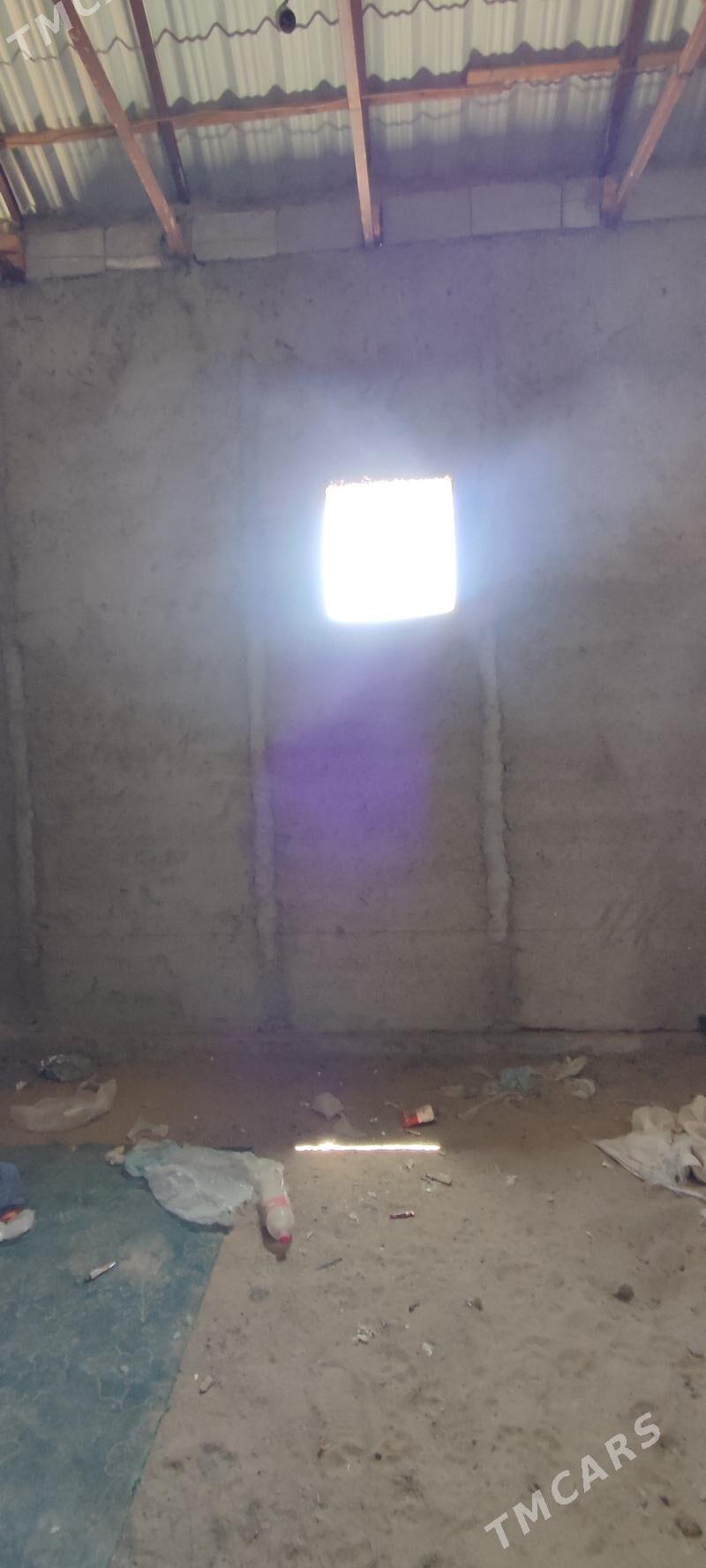 satlykjaý - Bäherden - img 8