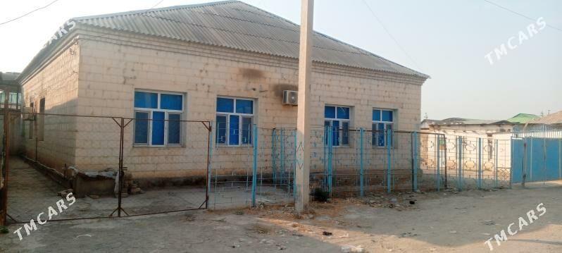 magtymguly - Änew - img 1