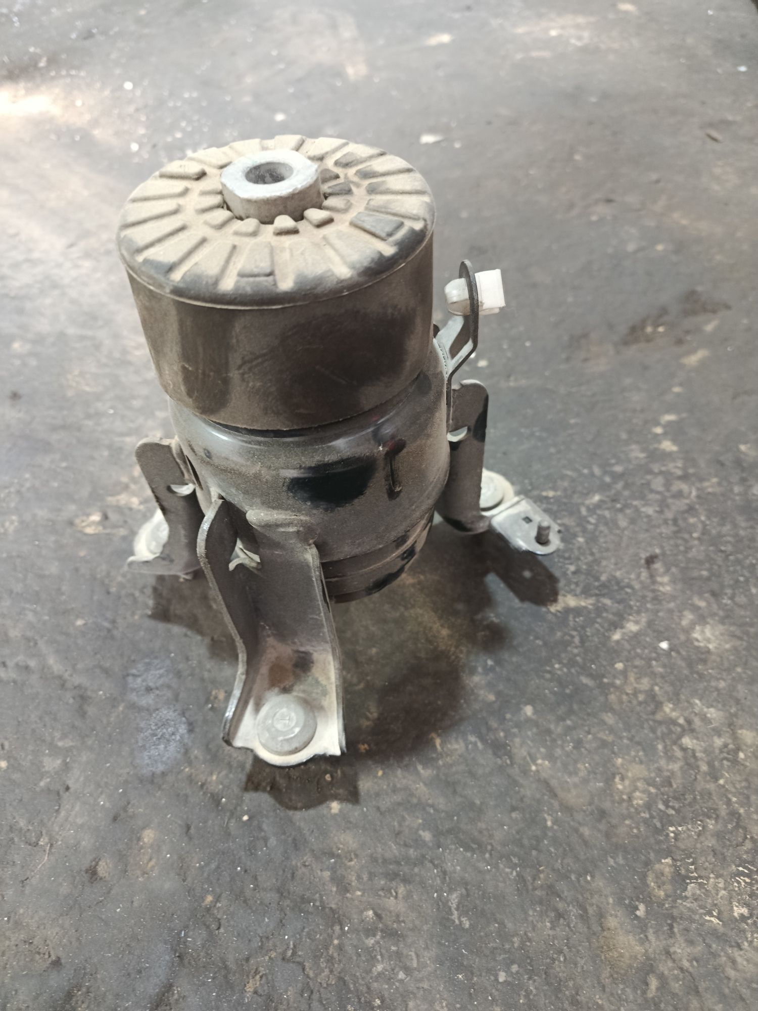 paduska 550 TMT - Änew - img 3