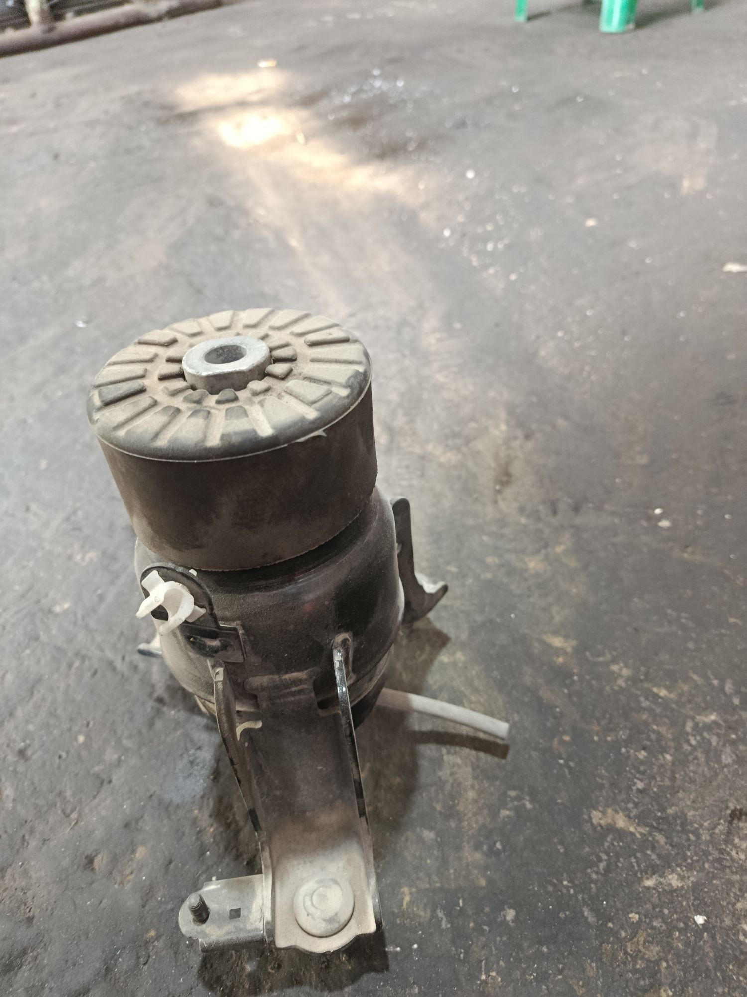 paduska 550 TMT - Änew - img 2