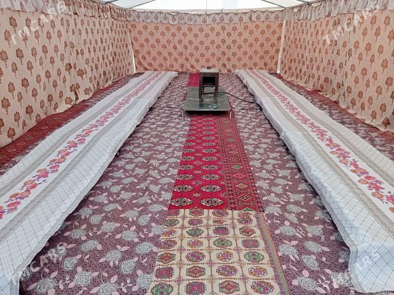 Palata yewro. - Ak bugdaý etraby - img 2